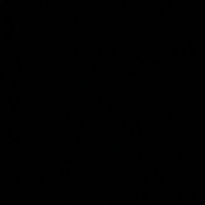 Meet your Posher, Ali